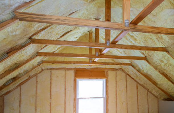 Best Types of Insulation in Lepanto, AR