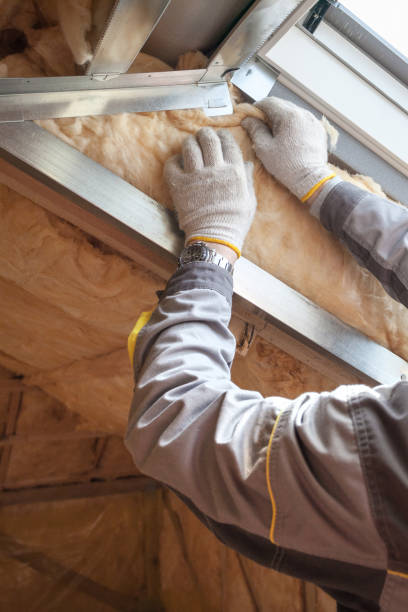 Best Types of Insulation in Lepanto, AR