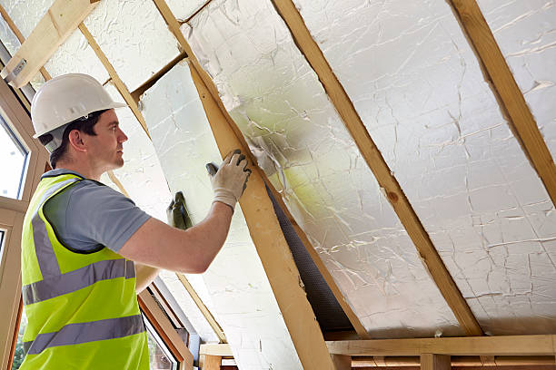 Best Specialty Insulation in Lepanto, AR